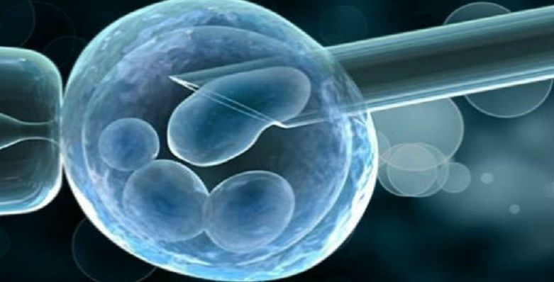 Preimplantation Genetic Screening (PGS) Testing