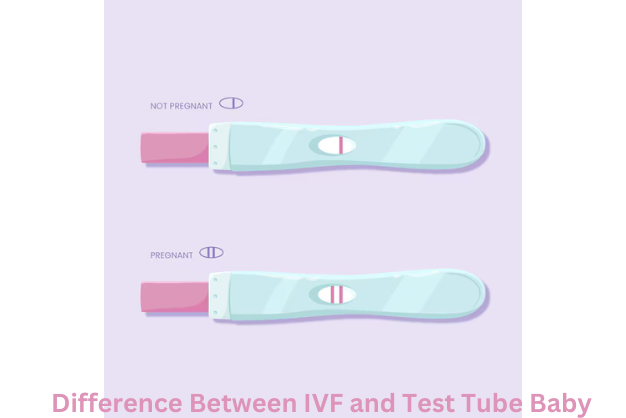 What is the Difference Between IVF and Test Tube Baby?