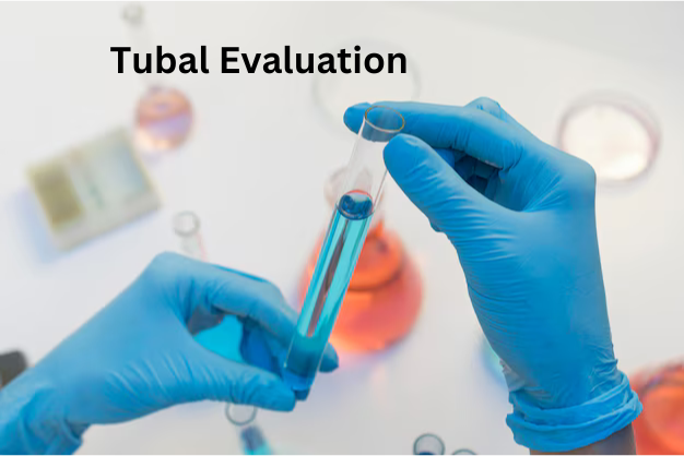 Tubal Evaluation