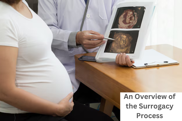 An Overview of the Surrogacy Process