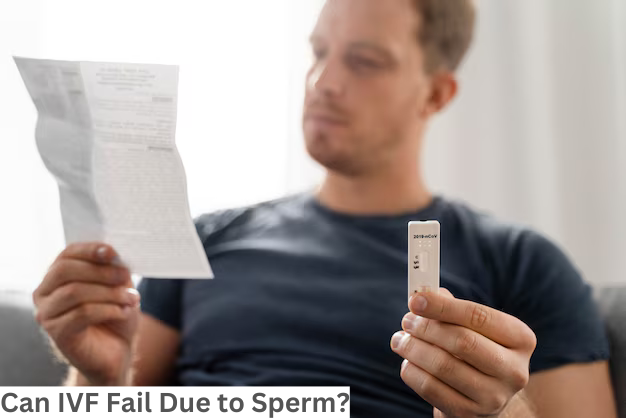 Can IVF Fail Due to Sperm?