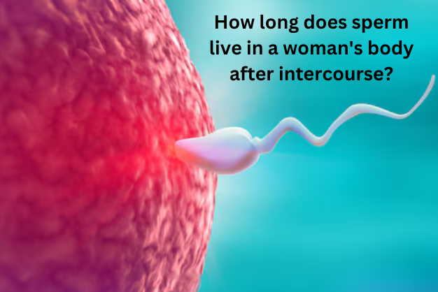 How long does sperm live in a woman's body after intercourse?