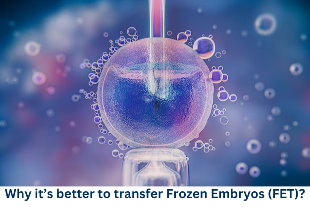 Why it’s better to transfer Frozen Embryos (FET)?