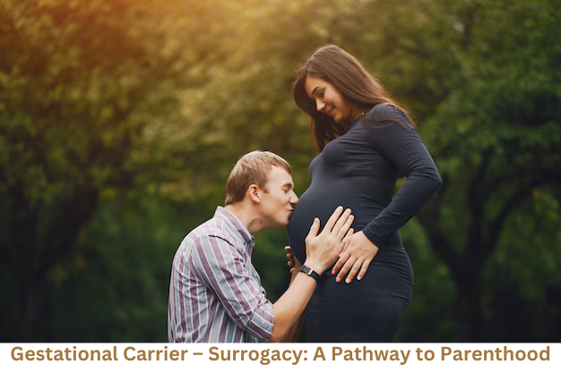 Gestational Carrier – Surrogacy: A Pathway to Parenthood