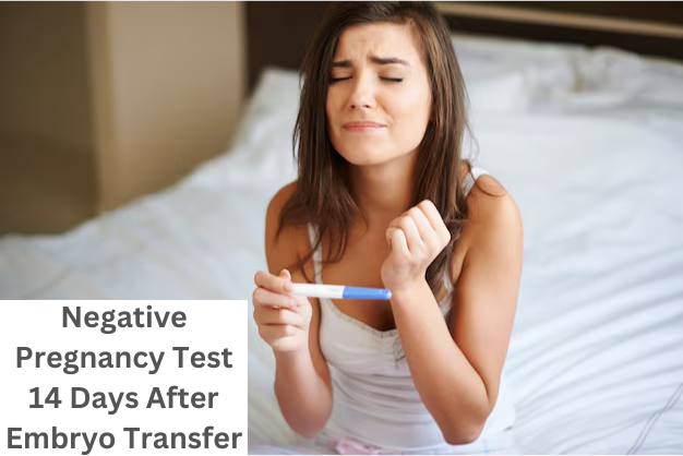 Negative Pregnancy test 14 days after Embryo Transfer