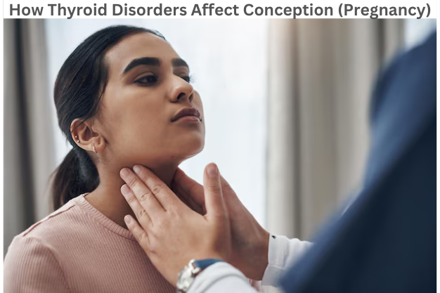 How Thyroid Disorders affect Conception (Pregnancy)