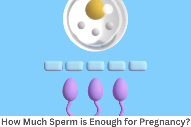 How much Sperm is enough for Pregnancy?