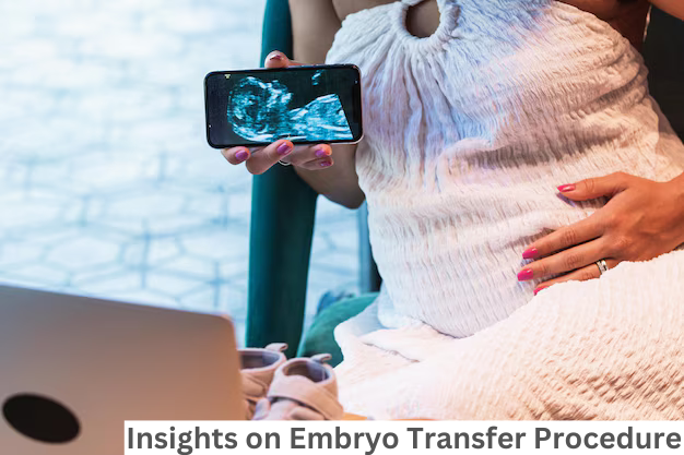 Insights on Embryo Transfer Procedure