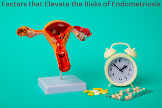 Factors that Elevate the Risks of Endometriosis