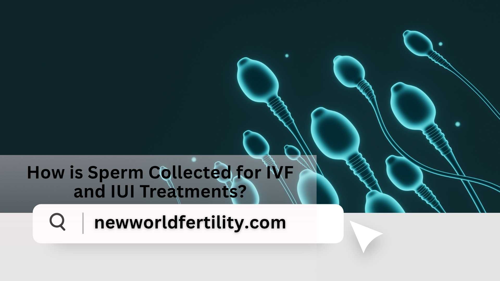 How is Sperm Collected for IVF and IUI Treatments?