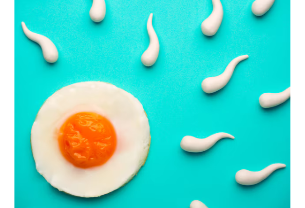 Egg Freezing: Everything You Need to Know