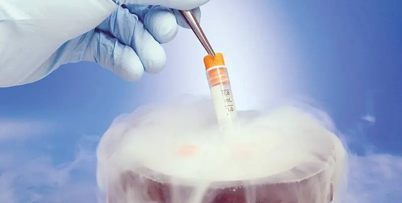 Embryo Freezing: Securing Your Future Family