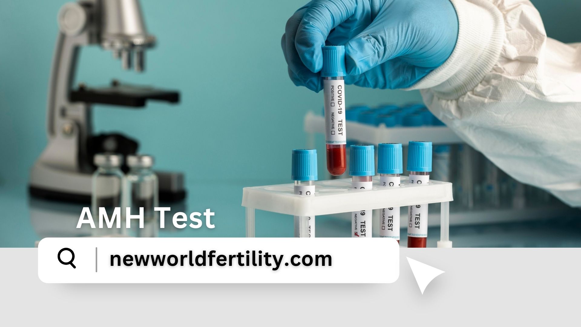 AMH Test:  About Fertility, Levels, and Treatment Options