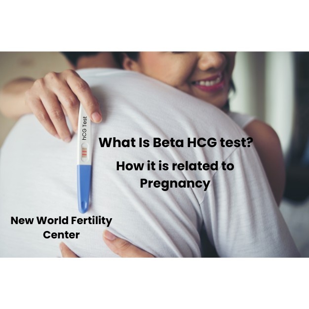 Understanding hCG Levels: Normal Ranges in Pregnancy