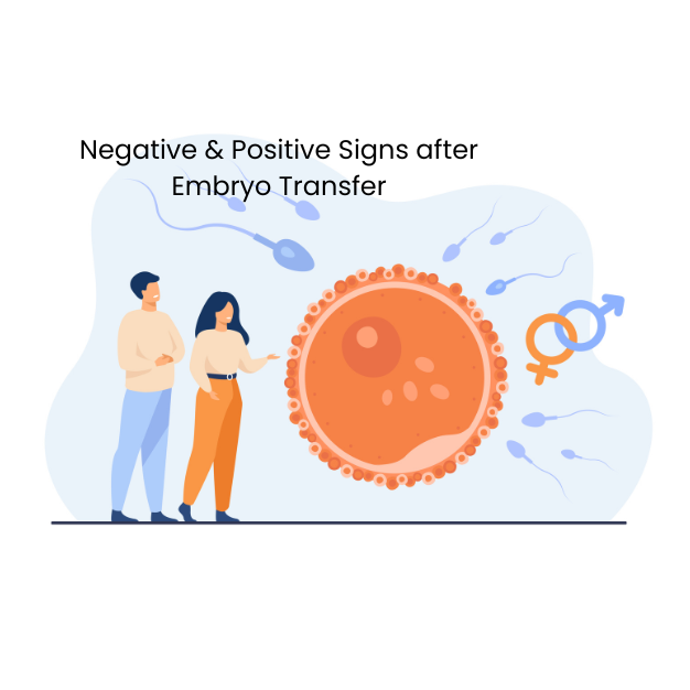 Negative & PositiveSigns After Embryo Transfer | New World Fertility