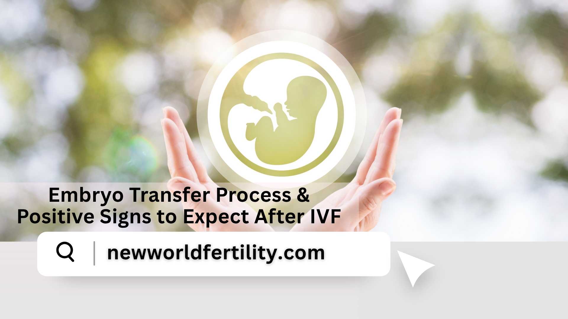 Embryo Transfer Process & Positive Signs to Expect After IVF