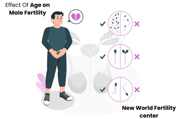 Male Fertility & Age: How Ageing Affects Reproductive Health