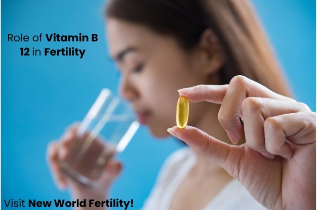 Role of Vitamin B12 in Fertility: Importance, Benefits & Impact