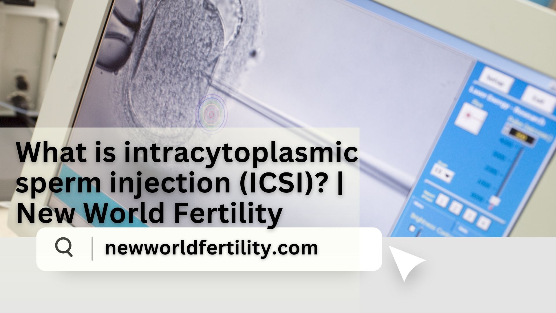 What is intracytoplasmic sperm injection (ICSI)? | New World Fertility