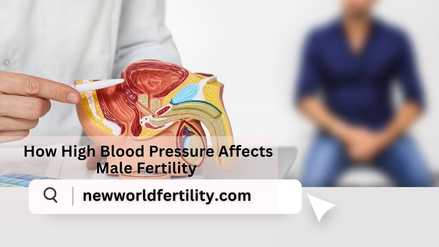 How High Blood Pressure (Hypertension) Affects Male Fertility 2025