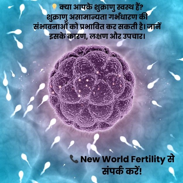 शुक्राणु में असामान्यताएं क्या हैं? (Abnormal Sperm) | New World Fertility