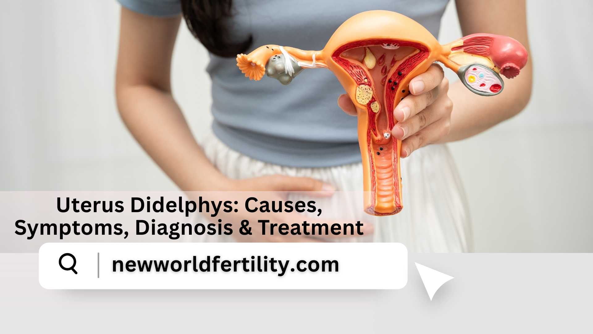 Uterus Didelphys: Causes, Symptoms, Diagnosis & Treatment