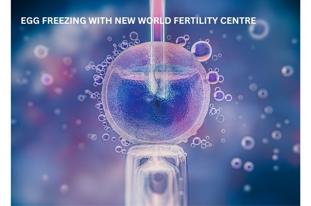 Egg Freezing (Oocyte Cryopreservation): Process, Benefits, & Who Should Consider It?