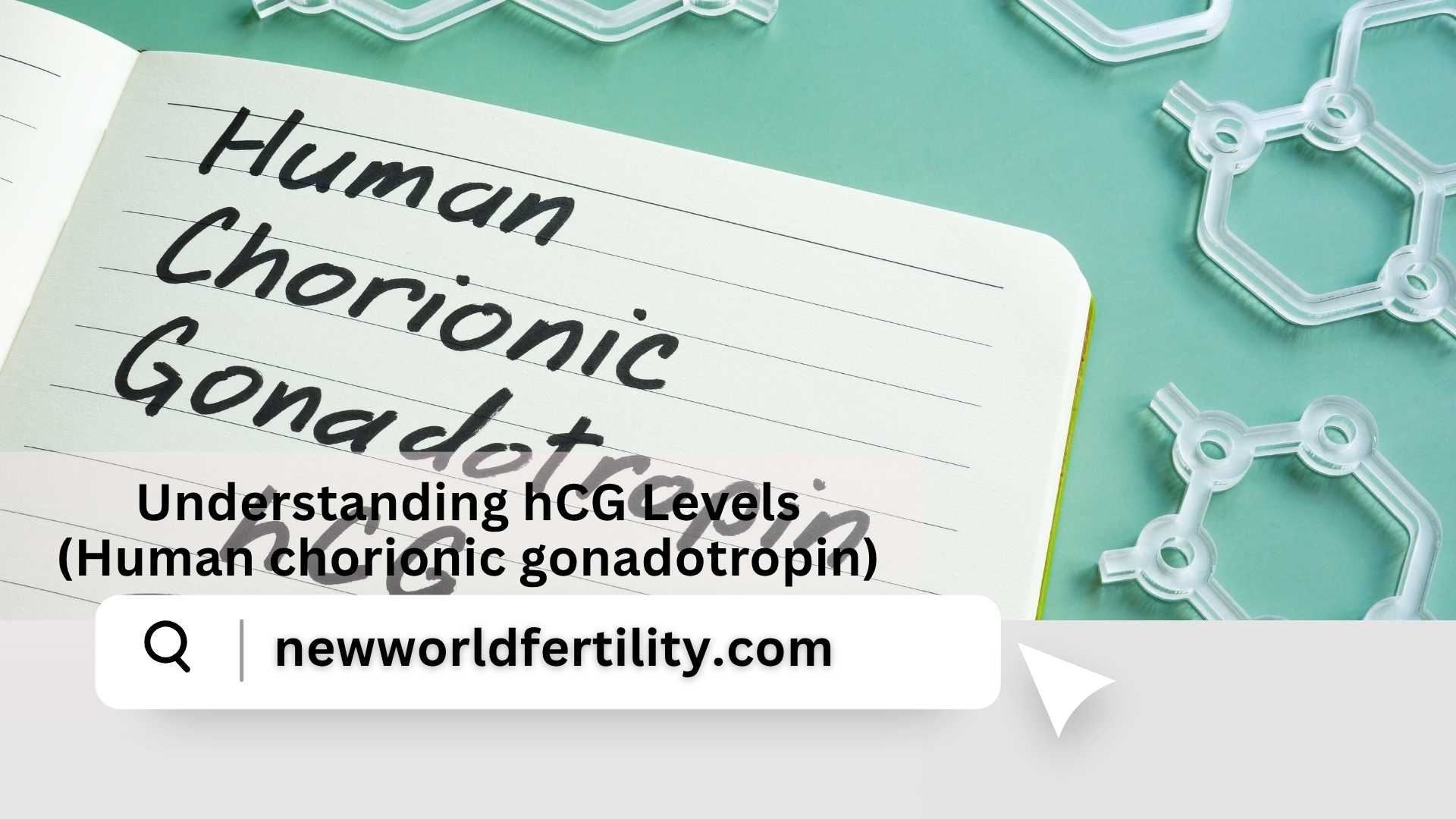 Understanding hCG Levels (Human chorionic gonadotropin)