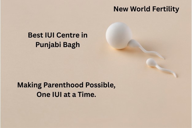 Best IUI Centre in Punjabi Bagh: Cost, Success Rates & How to Choose the Right Clinic