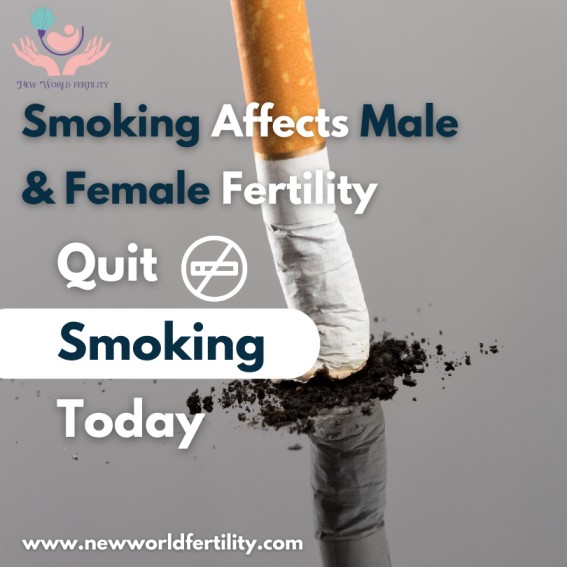 How Smoking Affects Male & Female Fertility | New World Fertility