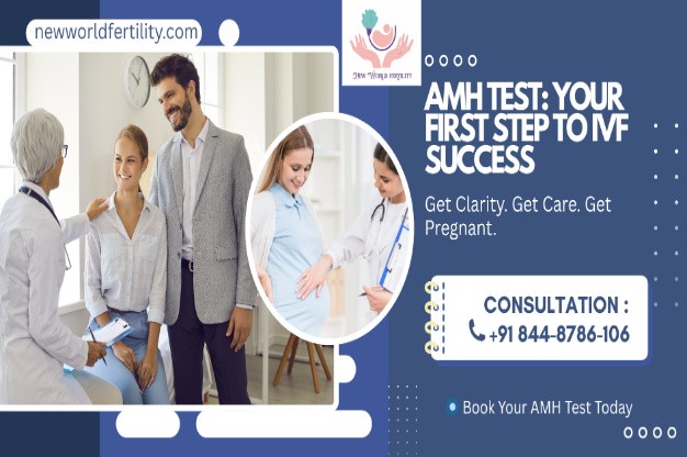 AMH Levels and Fertility: What Every Woman Needs to Know Before Starting IVF