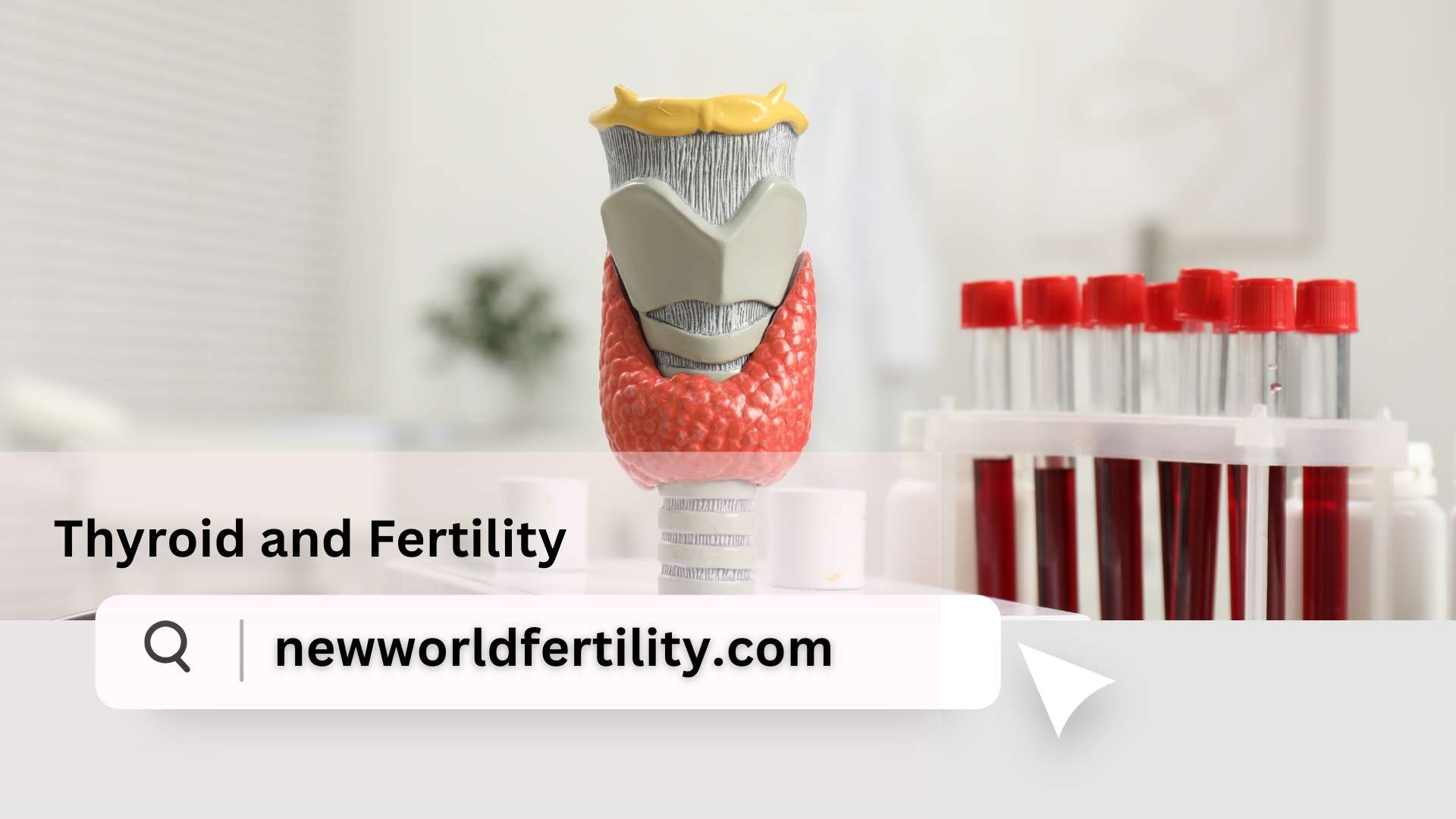 Thyroid and Fertility: The Overlooked Connection